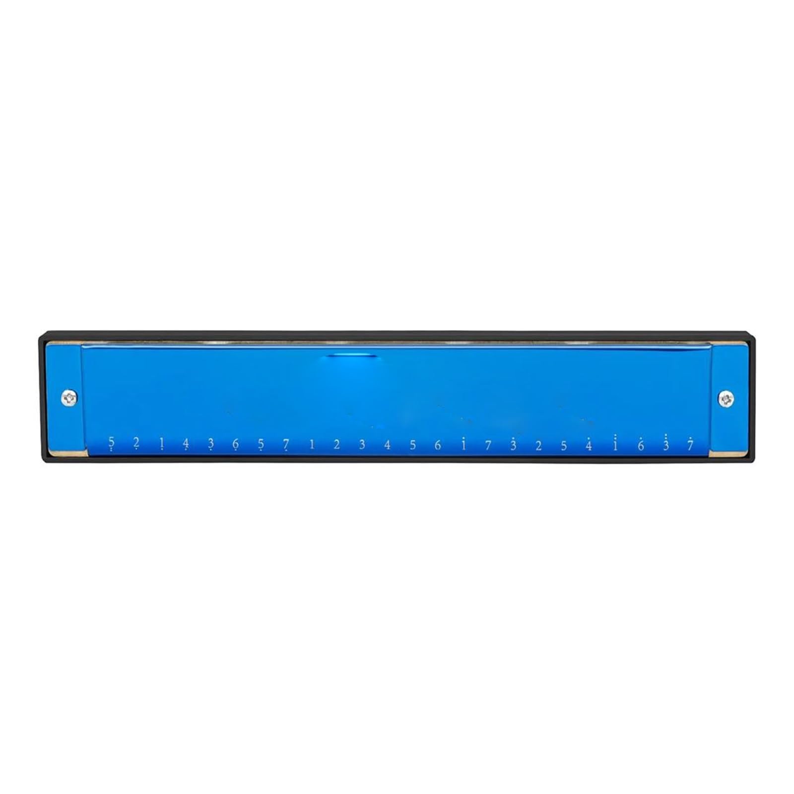 Armonica Armonica A Bocca Professionale In Do A 24 Fori Strumento Musicale In Resina ABS Con