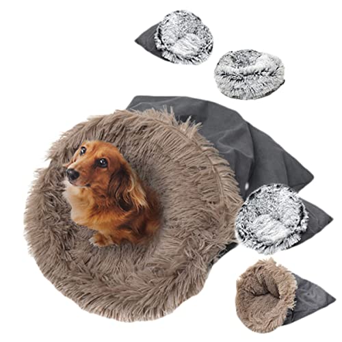 y2WAY ybgxbh STCY O[z | Q܌^ NbV^ | ^ Lp | ӂӂ ~p