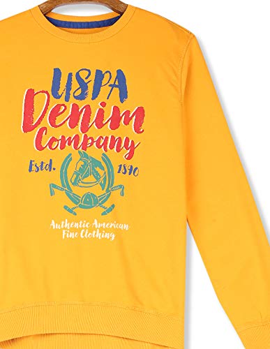 Image of U.S. POLO ASSN. Boys Cotton Turtle Neck Sweatshirt