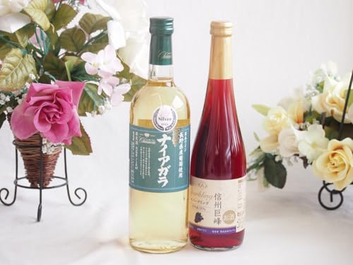 쌧YiCAKgpCƍYC2{Zbg(MBXp[NOC Ì(쌧)500mliCAKÌC(R)720ml