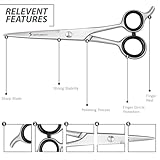 SS INSTRUMENTX B07PGP5G3B lato 2