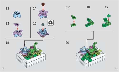 Image of LEGO Botanicals: Tiny Desert Garden