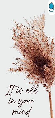 Pyar, Ishq aur Mohabbat copertina