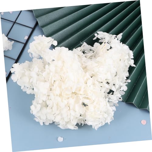 Pétalos de hortensia natural secados para decoración blanco miniatura 3