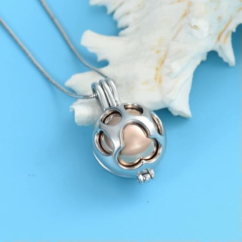 Pendentif Patte de Chat pour cendres en acier inoxydable durable - 3