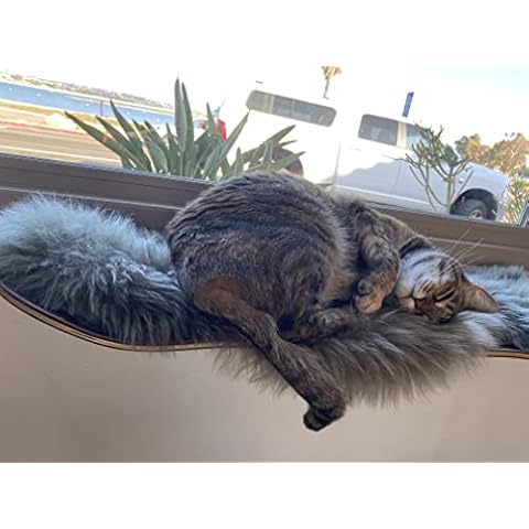 Tues Tamer Designer Cat Perch for Wall & Window - Kitten Sleeping Bed Shelf - Soft Natural Fur - White Natural Sheepskin Pad - Designed & Assembled in USA (White Fur) Cover
