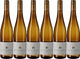 QUALITÄTSSTUFE: Spätlese Stefan Gerhard Hattenheimer Schützenhaus Riesling Spätlese *** 2022 Trocken Ecovin Bio (6 x 0.75 l)
