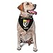 3rd Special Forces Group Triangle Dog Bandana Scarf Accessories for Pet Bibs