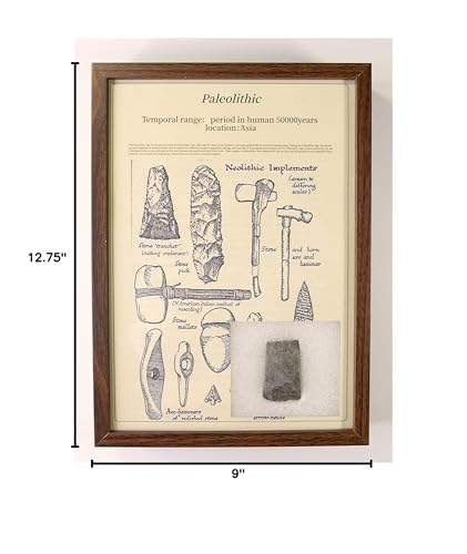 Image of Natural Mineral Specimen Collection Set - 14Rare Minerals (Agate, Meteorite Glass, Pyrite) Home Decor Gift for Geologists Gift for Rock Collectors Framed (Paleolithic(Large), 9X12.75)