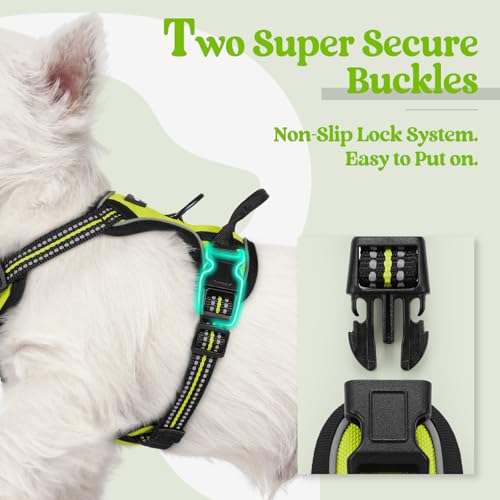 Image of rabbitgoo Dog Harness No Pull with 2 Leash Clips, Adjustable Soft Padded, Reflective Oxford No Choke Pet Vest with Easy Control Handle for Puppy, Green, XS