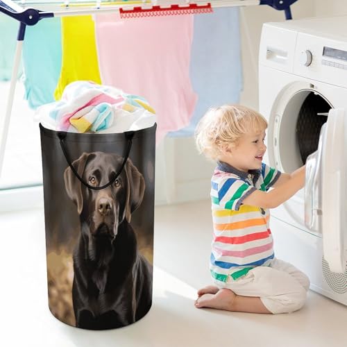 Panier à linge imperméable et pliable avec poignée imprimé labrador