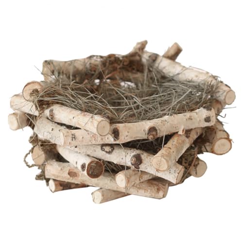 Totority ؐҒ̑ pj[NȉOfR[V C[X^[LfBuɂ