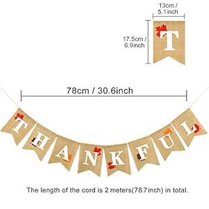 Whaline Thankful Burlap Banner with Rustic Autumn Maple Leaves Thanksgiving Day Decorations Garland Fall Harvest Home Decor Mantel Fireplace Wall Hanging Whaline Thankful Burlap Banner with Rustic Autumn Maple Leaves Thanksgiving Day Decorations Garland Fall Harvest Home Decor Mantel Fireplace Wall Hanging