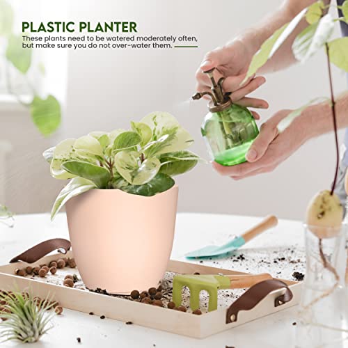 image for Utopia Home - Plant Pots with Drainage - 7/6.6/6/5.3/4.8 Inches Home D