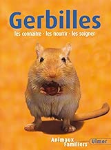 Download Gerbilles PDF