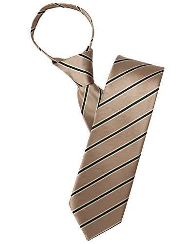 H2H Mens Comfortable Zipper Shine Stripe Patterned Neck Tie Beige OneSize (KMANT0104)
