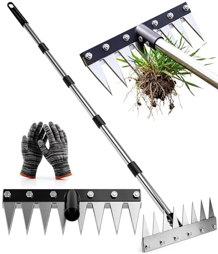 Joysuga Iron Weed Rake with 71 Adjustable Long Handle 8 Teeth Manual Weed Remover Tool Heavy Duty Garden Weed Puller with Gloves for Yard Lawn Garden