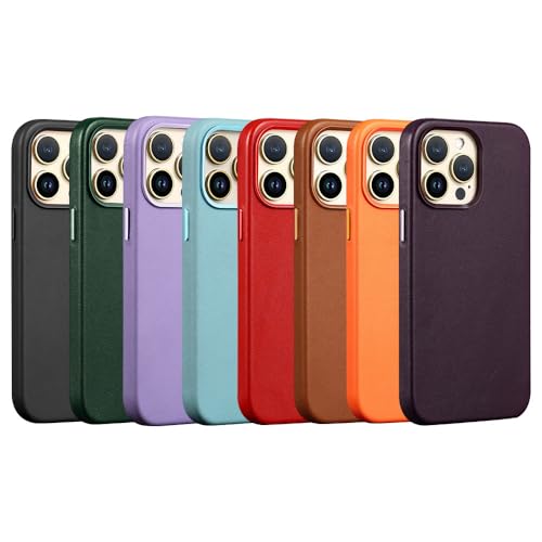 Housse de chargement magnétique iPhone 13 Pro Max coque cuir vert clair