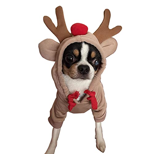 Ropa para perro con diseño de fruta en capucha XS
