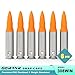 GORTAR 308Win Snap Caps Training Dummy Rounds Practice Safe Loading Firing Close to Real Weight -6 Pcs