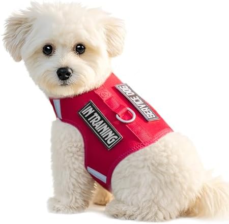 Dog Harness for Puppy – Adjustable Reflective Easy Put On Soft Mesh Vest for Small Dogs with 2 Patches (Burgundy Red,XXXS)