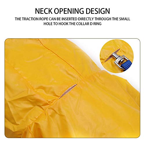 Casaco de chuva para cães, capa de chuva para cães, capa Labrador impermeável, jaqueta Golden Retrie