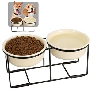 Ceramicelevateddogbowlsetdoubledogbowlswithnonslipmetalstandraiseddogfoodandwaterbowlsetdogfeedingbowlsidealforsmallandmediumdogs2cups27flozbeige Urban Country Home Decor Ceramic elevated dog bowl set double dog bowls with non slip metal stand raised dog food and water bowl set dog feeding bowls ideal for small and medium dogs 2 cups 27 fl oz beige urban country home decor