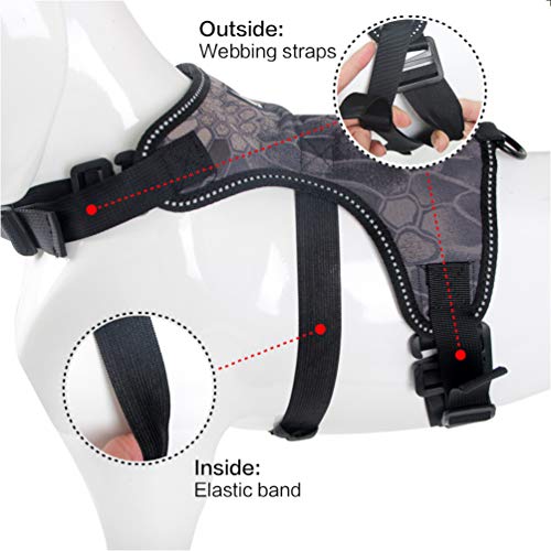 Balacoo Fetch Harness Cremalheira Câmera- Câmera Arnês Do Cão Prático Stylish Dog Fetch Harness Band