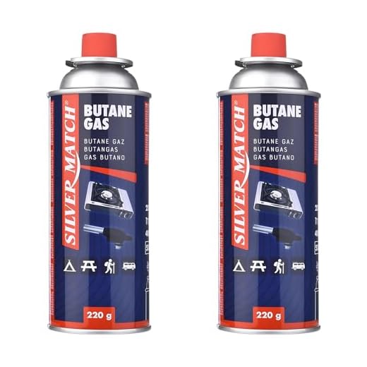 HIBRON 2 Silver Match Cartuchos de Gas Butano 220g para Hornillos y Quemadores, Compatible con CP250 y la Mayoría de Hornillos de Camping