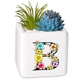 BJDAMAI Succulent Planter Flower Plant Pot Small, Girls Stuff Decor Item...