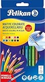 Pelikan Matite Colorate Acquarellabili con Pennello, Colori Intensi e Lavabili, Legno Certificato FSC, Ideali per la Scuola, per Bambini e Adulti, Astuccio 12 Matite Colori Assortiti
