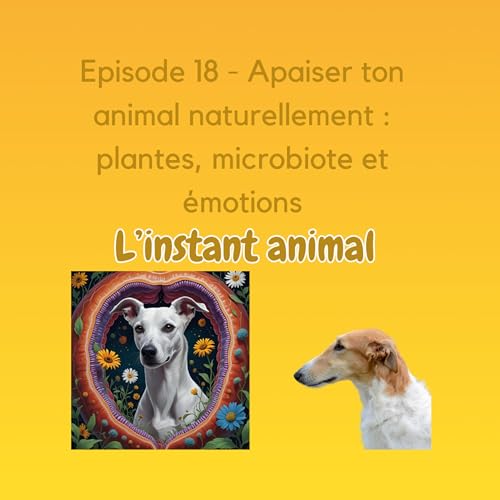 #18 Apaiser ton animal naturellement : plantes, microbiote et &eacute;motions copertina