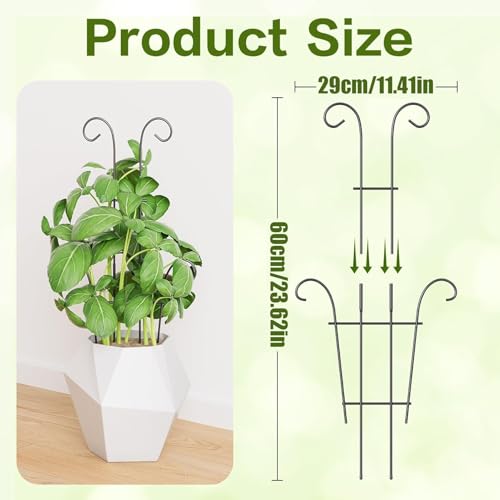 Support de tige réglable pour monstera et lierre grimpant