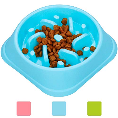 wangstar Pet Slow Feeder Bowl, Bloat Stop Dog Puzzle Bowl Maze, Interactive Fun