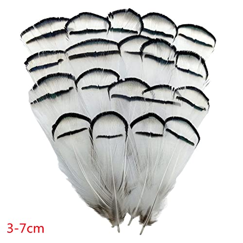 Natürliche Pfau-Fasan-Feder-Straußen-Truthahn-Federn für Handarbeiten Kopfschmuck Handwerk Dekor-Zubehör-China,5-10cm,100St