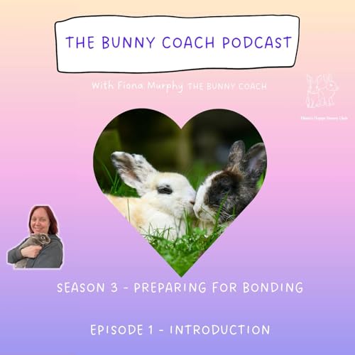 #26 - PART ONE - PREPARING FOR BONDING - INTRODUCTION
