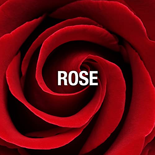 White Shoulders Women's Fragrance 3 Piece Gift Set, 4.5 Fl. Oz. Eau De Cologne #TOP2