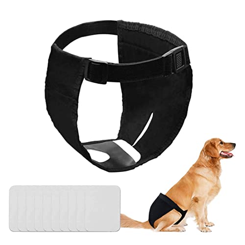 YYeglkas 1 Paquetes Bragas Perras celo Lavable con 10 Toallas Sanitarias Menstruales Reutilizables Calzoncillos Higiénicos para Perros Negro M