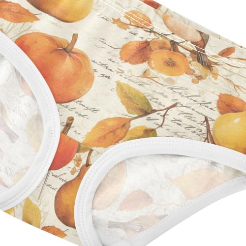 Wusikd Pumpkins Pears Girls' Underwear Cotton Vintage Girls Briefs Soft Toddler Underwear 2T4