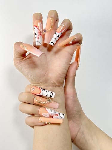 TipTastic fruit powder hand drawn nail art pieces, suitable for women and girls (Fruits Powders, Long)