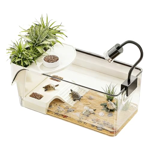 Acuario para Tortugas, Acuario Pequeño para Reptiles, Terrario Transparente con Zona de Asoleo para Alimentación de Reptiles Tortugas Cangrejos Ermitaños y Ranas