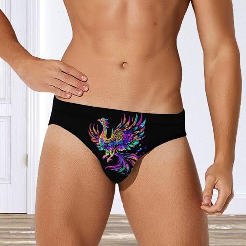 Iridescent Bird Men's Swimsuit Bikini Briefs Swim Underwear Stretchy Swimwear2