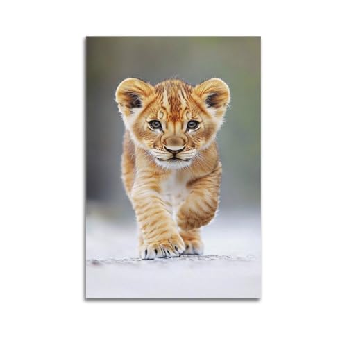 Poster lionceau moderne de qualite superieure ZHOUKEG toile suspendue