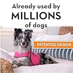 ThunderShirt for Dogs, Large, Fuchsia Sport - Dog Anxiety Relief Calming Vest - Image 2