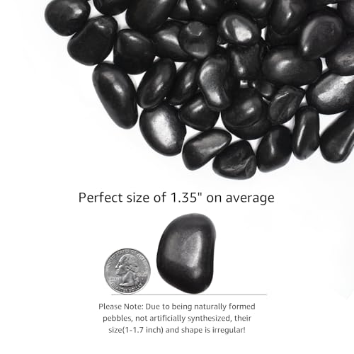 Image of 40 Lbs Black River Rocks - Large Polished Black Pebbles for Plants & Garden Decorative Stones,1-2 inch Polished Pebbles for Landscaping, Fish Tanks, Flower Pots, Water Fountains