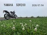 YAMAHA SDR200 2026/07/04