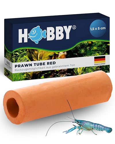 HOBBY Aquaristik Prawn Tube I 1,5 x 5 cm I Brut- und Versteckhöhle aus gebranntem Ton für Krebse und Garnelen I Deko Höhle für Aquarienbewohner I natürliches Aquariumzubehör