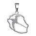 HELIOS BIJOUX - Pendentif Pays Carte Ile de la Réunion Paille en Queue - Argent Massif 925°°° Rhodié - 2gr - Neuf
