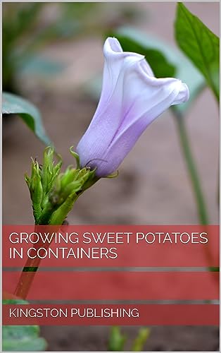 Growing Sweet Potatoes in Containers (Container Gardening and Greenhouses) (English Edition)