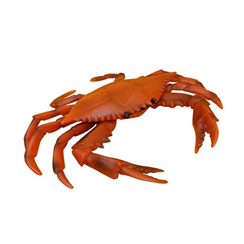 Fantarea Crab Model Sea Animal World Animal Figures Crab Figures Desktop Decoration Imitation Ornament Animal Model Toys Gifts for Kid Children